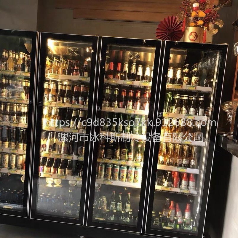 杭州全屏展示柜 网红饮料柜 立式啤酒冷藏保鲜柜 商用双门冰箱 三门冷柜 未来雪冷柜WLX-QP-06图片