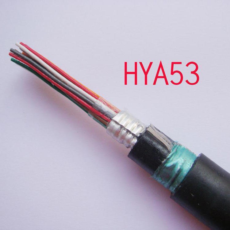 ZR-HYAP53通信电缆50X2X0.8 天联牌 HYAT电缆 HYAT充油通信电缆