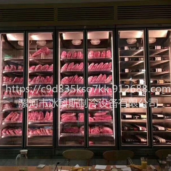 福清熟成柜和冷藏柜的区别 牛肉熟成柜价格图片 玫瑰金不锈钢外观 未来雪冷柜 工厂定制 未来雪冷柜 WLX-NR-195