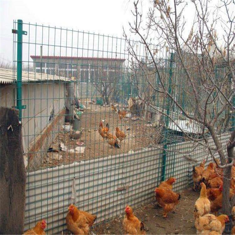 迅鹰果园防护网厂家   波浪网浸塑围栏   郑州养鸡鸭鹅隔离网厂家