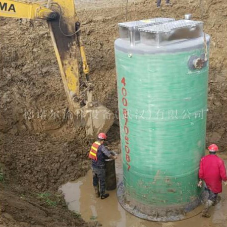 淮南 大型  双泵污水提升设备
