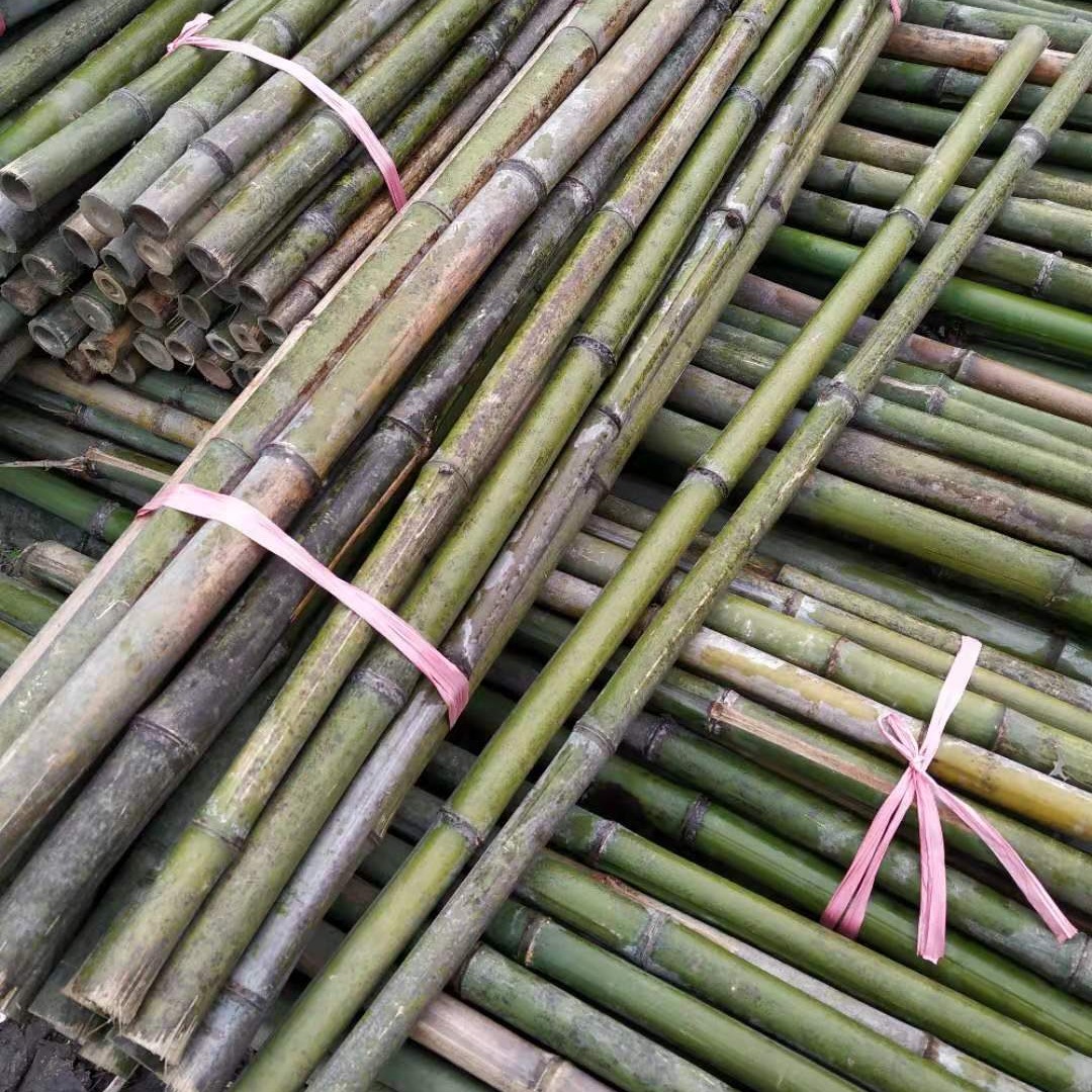 鄂西北产地大量销售各种粗细竹杆 养殖蔬菜搭棚竹杆 树木支撑竹杆批发