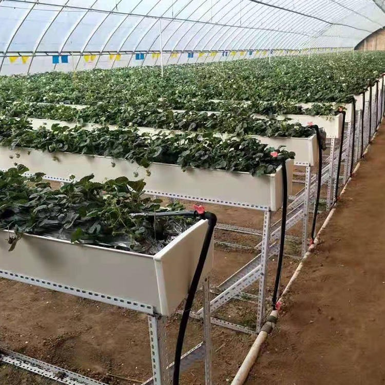 草莓大棚建设 新型草莓种植大棚价格 嘉诺种植大棚建设厂家