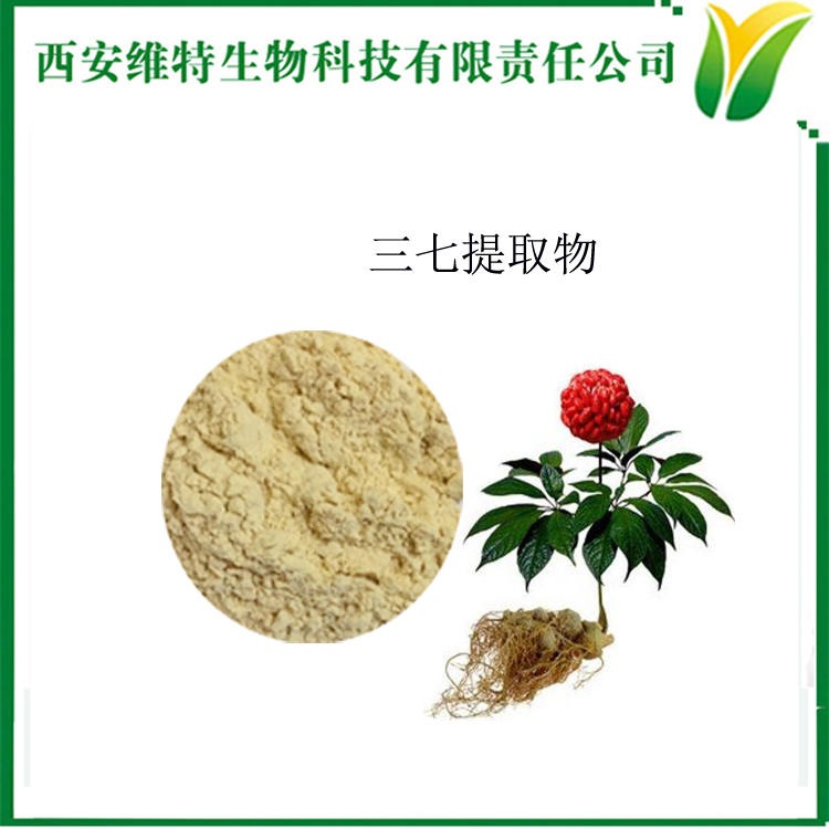 三七皂苷粉 三七提取物 皂苷含量粉 三七萃取粉 pseudo-ginseng extract 现货销售