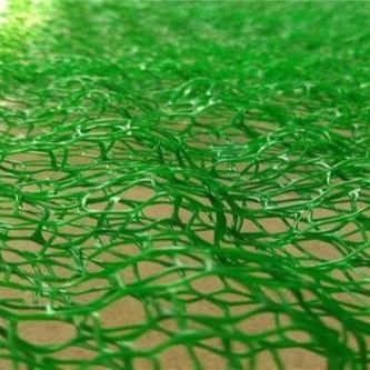鼎诺新材料三维网垫三维土工网垫植被网厂家价格欢迎订购