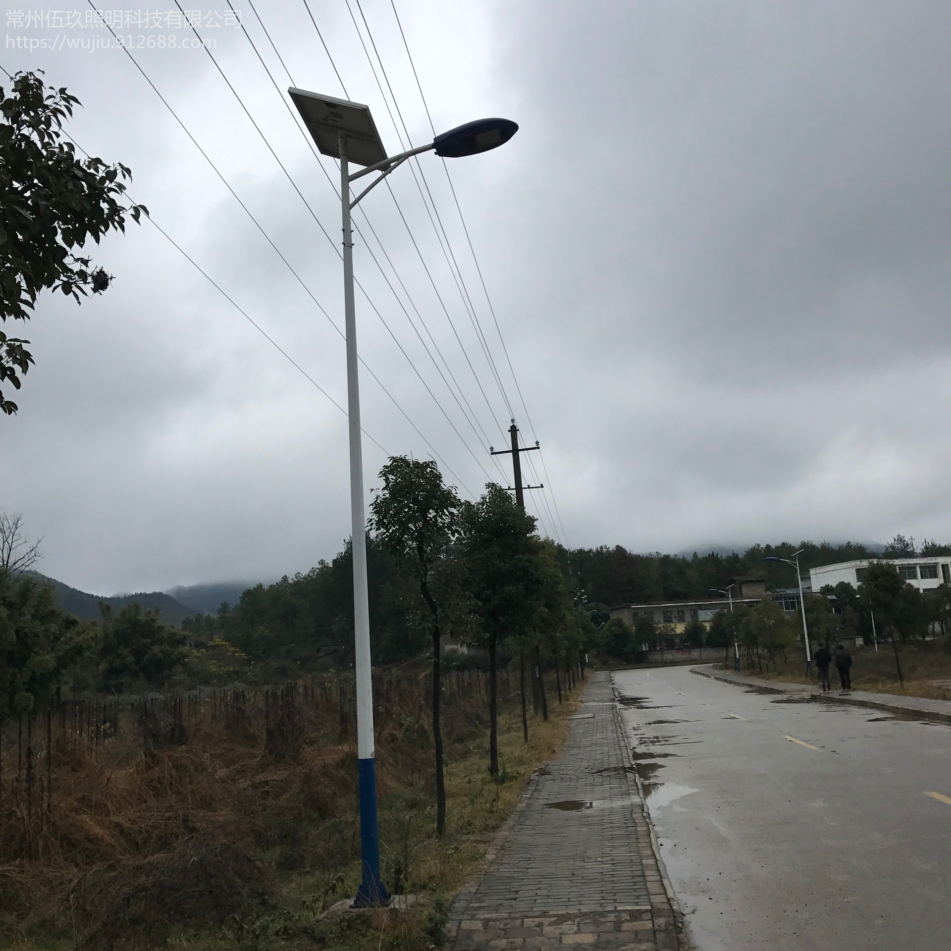 新农村太阳能路灯照片图片