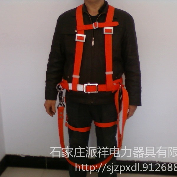 派祥 DW1Y双背双保险安全带 半身式安全带 电工安全带 爬杆专用安全带 厂家图片