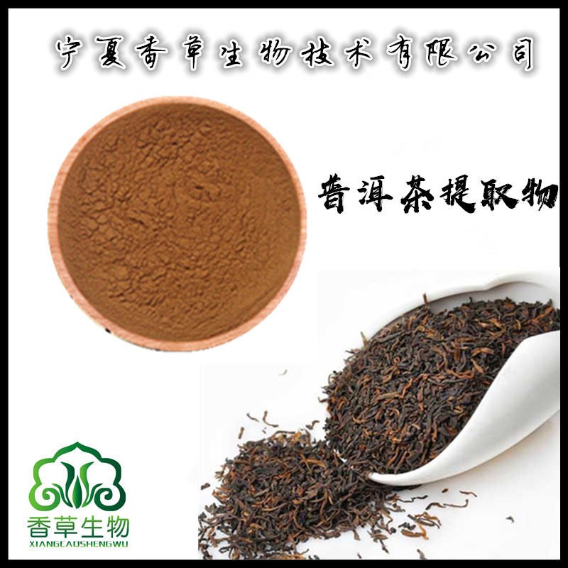 普洱茶提取物 普洱茶粉 普洱茶提取物含多酚 普洱浓缩粉