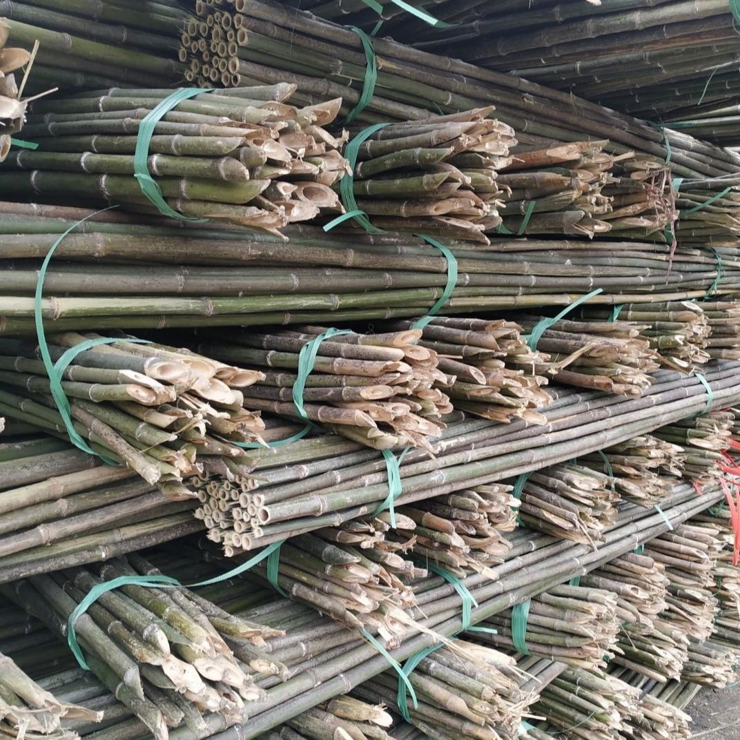 产地毛竹厂家 大量供应2米至3米大小菜架竿 各类蔬菜架杆批发