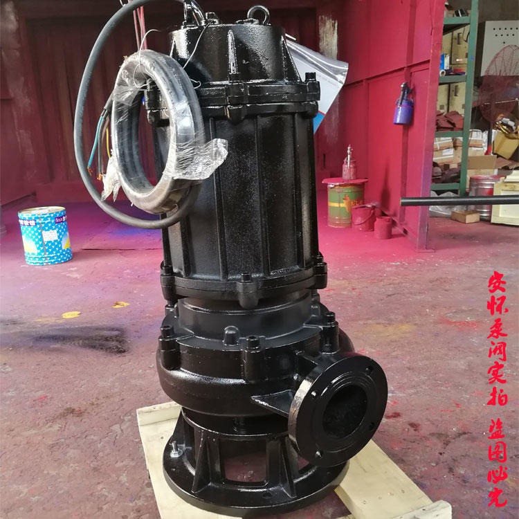 潜水抽水机  上海安怀QW100-100-40-22 潜水潜污泵 油浸潜水泵图片