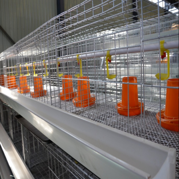 厂家定做养鸡笼子 阶梯式肉鸡笼 鸡笼养殖笼批发价格优惠