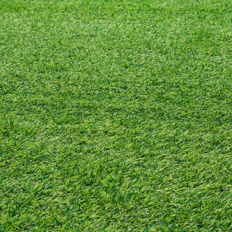 市政工程绿化草坪 君泰 免填充足球草 学校运动场人造草坪 批发市场图片