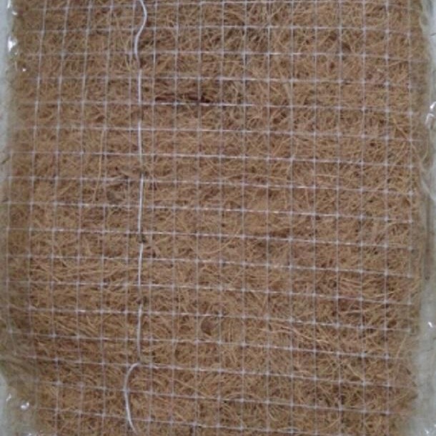 鼎诺椰丝草籽毯 生产厂家欢迎订购南宁河道护坡 椰丝草籽毯