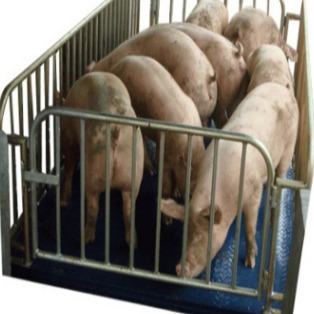 5吨称重防水畜牧称  1.5米乘1.5米动物电子称 养猪专用动物地磅图片