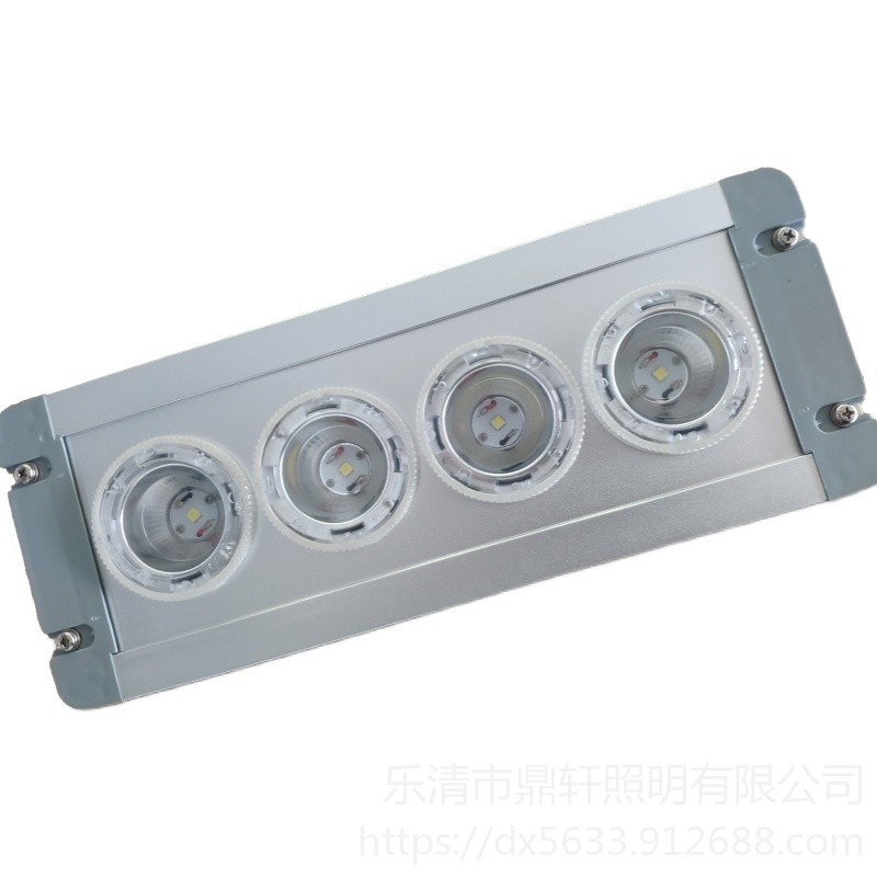 LED应急顶灯SHD7300C 12W功率 壁挂式嵌入式 价格 鼎轩照明图片
