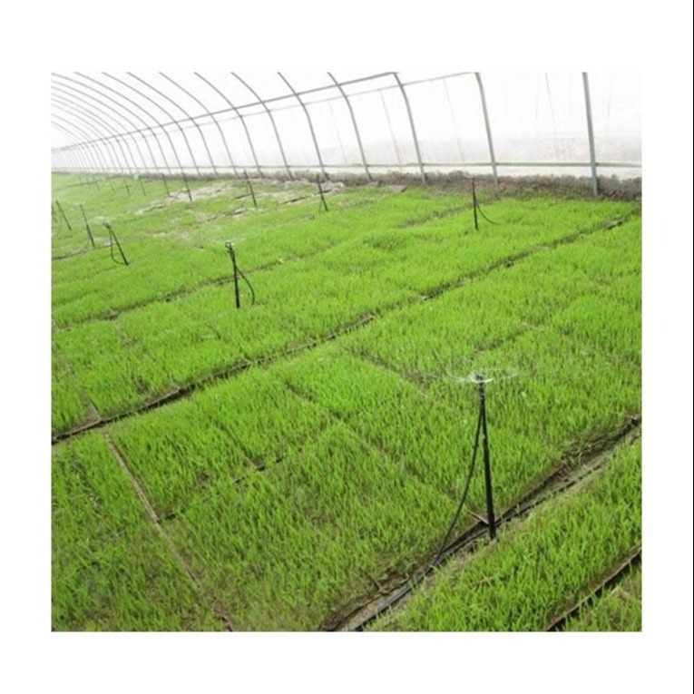 农业自动喷灌系统设施生产公司 农业自动喷灌系统每亩造价