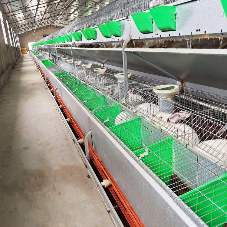 新胜顺  热镀锌兔笼  2400 兔笼 24位欧式兔笼 新式兔笼厂家 兔笼厂家直销图片