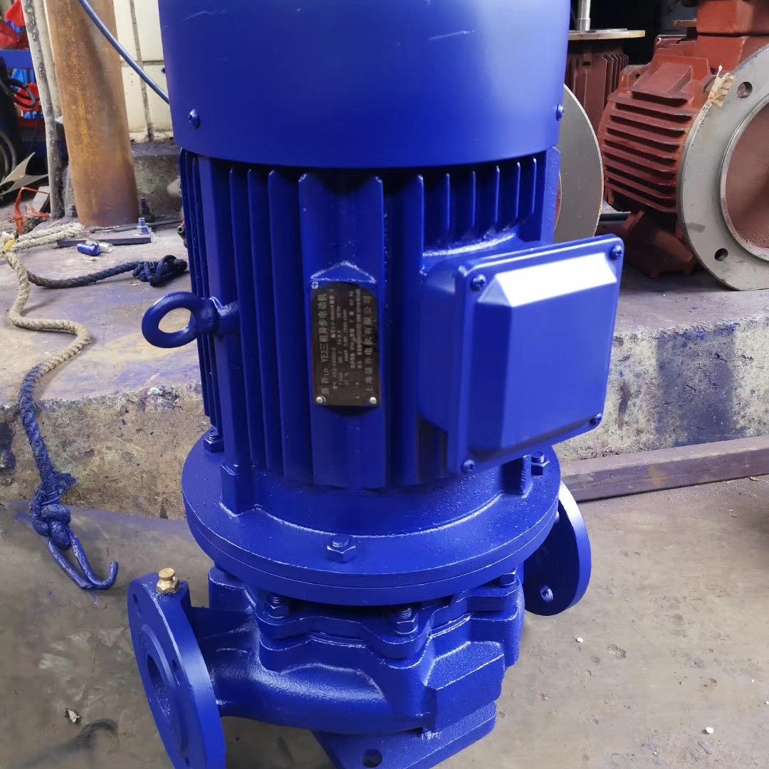 蓝升泵业IRG立式热水管道泵 单级单吸立式离心泵 热水型管道离心泵