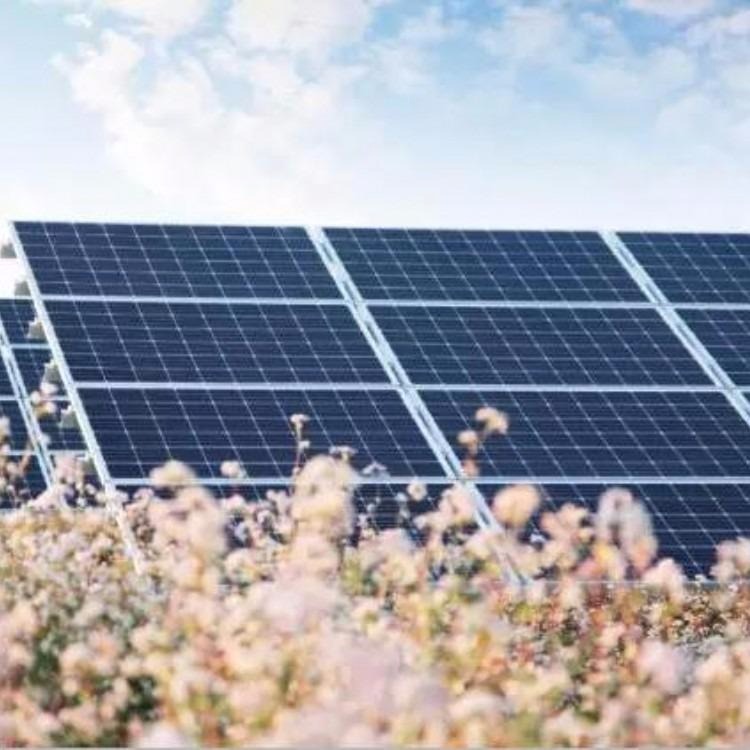 河北保定回收太阳能组件 功率不限 各种太阳能电池板组件回收