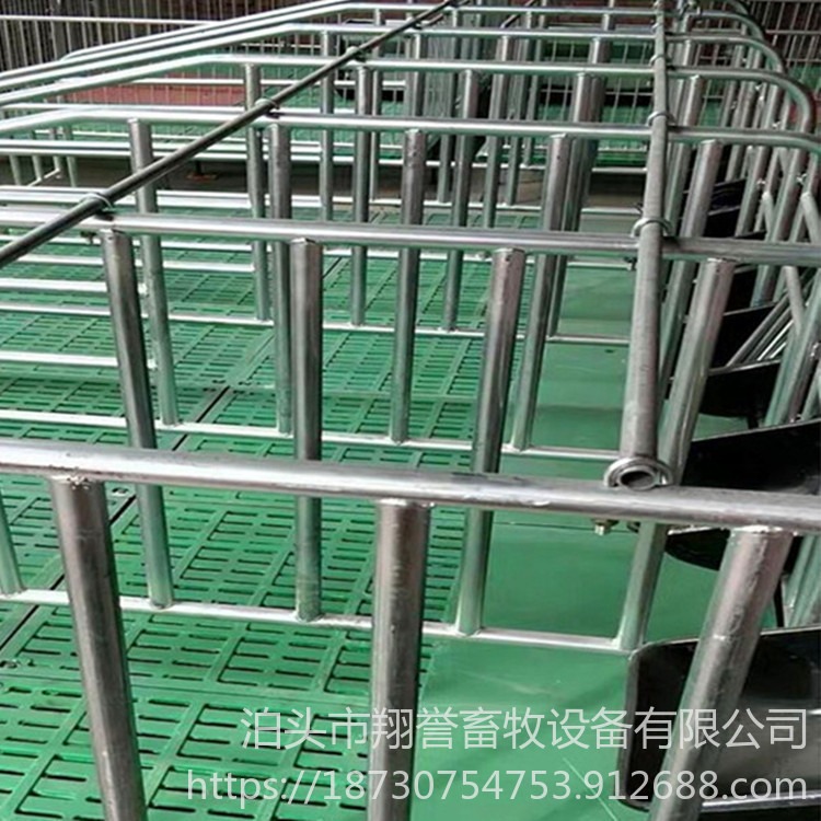 保育猪用定位栏 落地式2.5加厚限高栏 10位猪用限位栏养殖厂家 翔誉图片