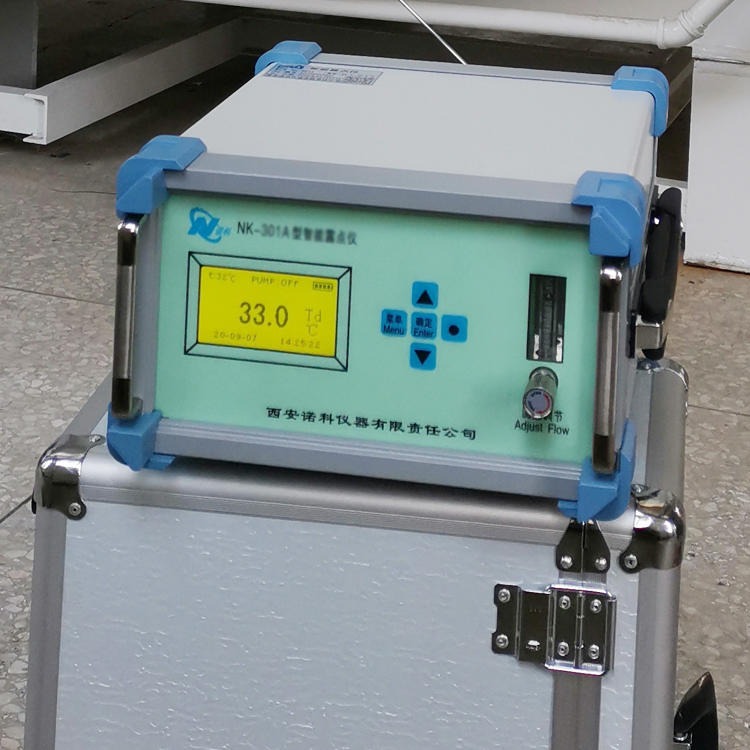 氧含量测定仪 含氧量测定仪 氧纯度分析仪 纯度氧分析仪 诺科仪器NK-100系列图片