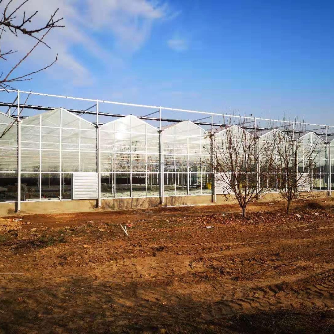 农业用玻璃温室 植物玻璃温室 潍坊智能玻璃温室 博伟