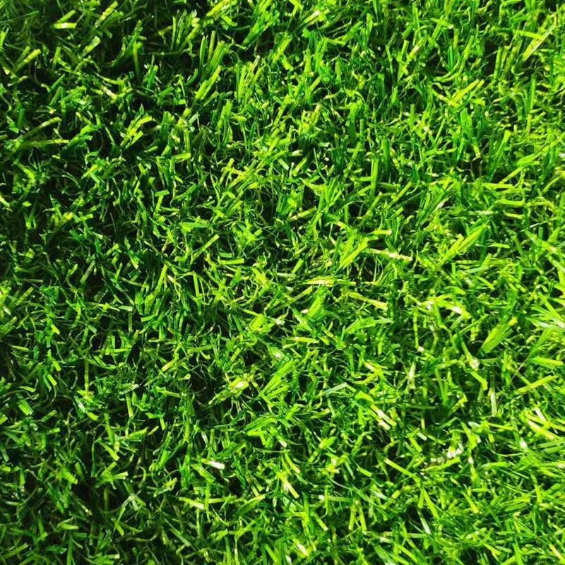阳台仿真草坪地毯 塑料假草坪 围挡假草坪 保证质量 质优价廉 安平临边