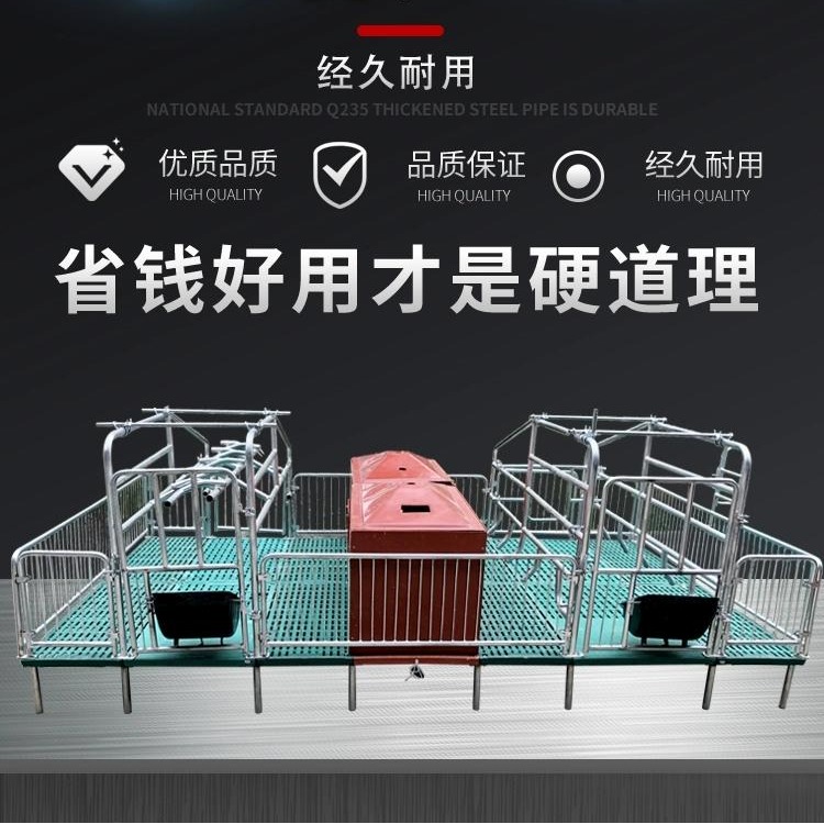 母猪产床 限位栏 保育床生产厂家 母猪单双体产床
