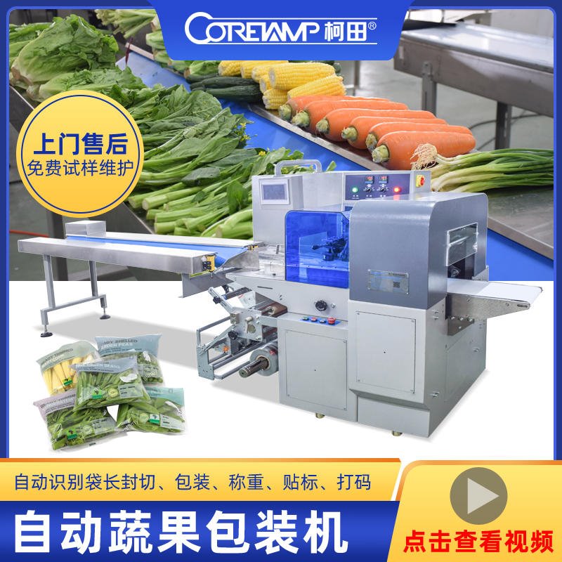 冷冻蔬菜全自动化枕式包装机 超市新鲜保鲜蔬菜水果袋装包装机械图片
