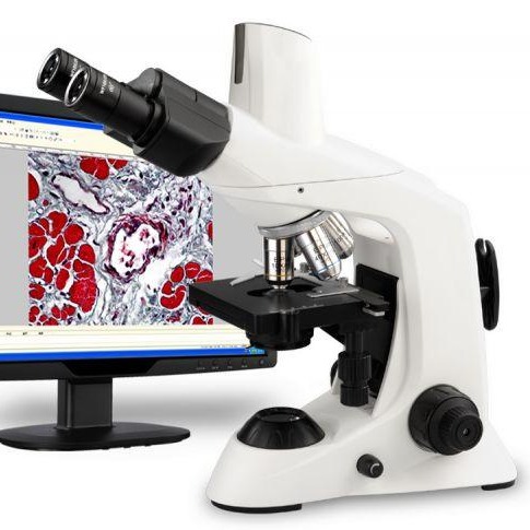 重庆奥特/CNOPTEC 显微镜 B302 国产正置显微镜 现货供应 售后完善