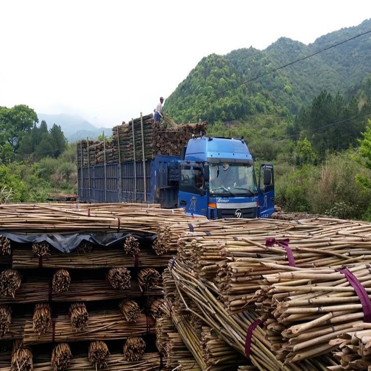 京西竹业 绑杆厂家批发供应绑扶枸杞树苗用的竹竿图片