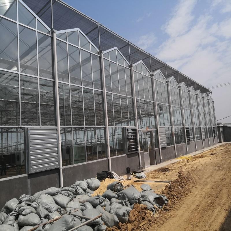 连云港蔬菜大棚安装 智能温室 玻璃温室大棚厂家 瀚海温室公司