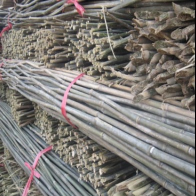 京西竹业 厂家批发批发各种规格的枸杞竹杆