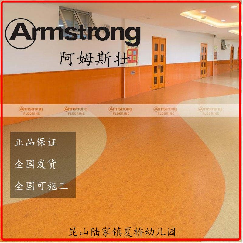 阿姆斯壮晶丽龙系列PVC地板医院幼儿园地胶板厂房地胶图片