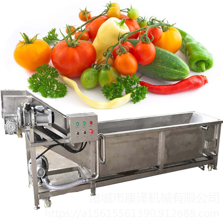 康泽专业供应SZ4000型多功能酱菜清洗机 蔬菜去杂去毛清洗机