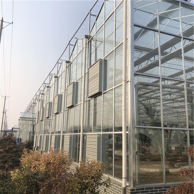 玻璃温室大棚 玻璃大棚生产厂家 玻璃大棚材料 建达温室