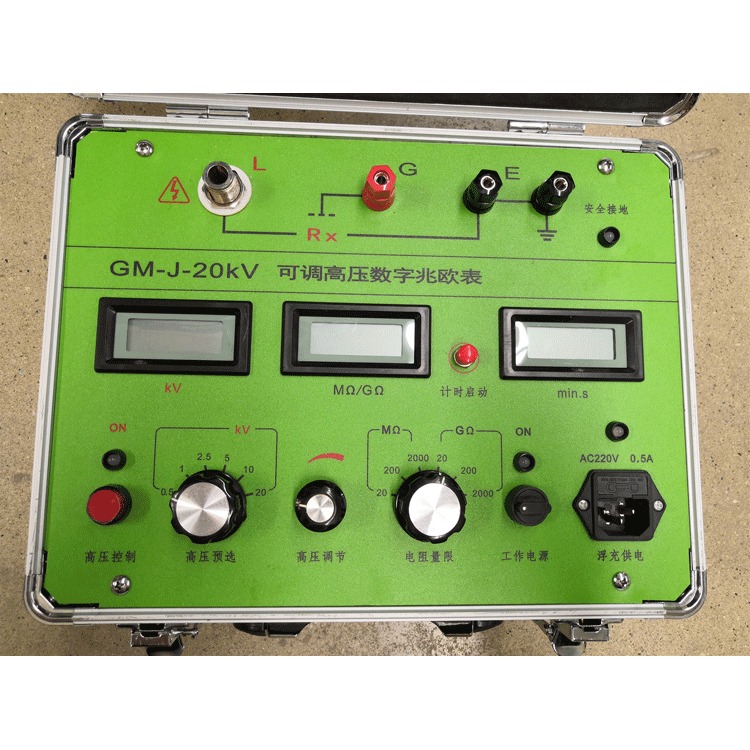 GM-J-20kV 型 可调高压数字兆欧表 国电西高