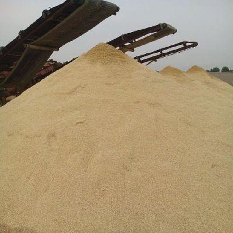 朔州海砂水处理（海沙）海砂出厂价格