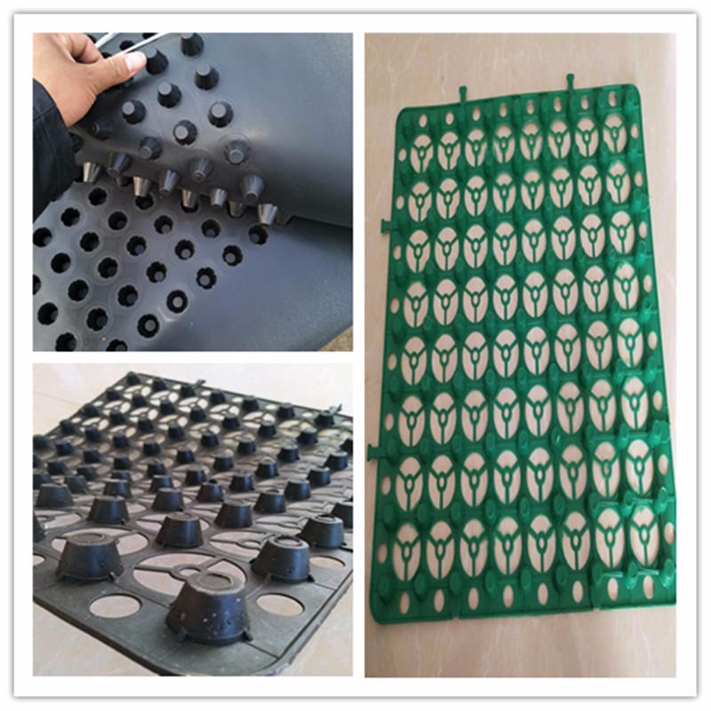 广州排水板厂家 HDPE排水板价格 屋面种植滤水板  广州塑料排水板 20蓄排水板