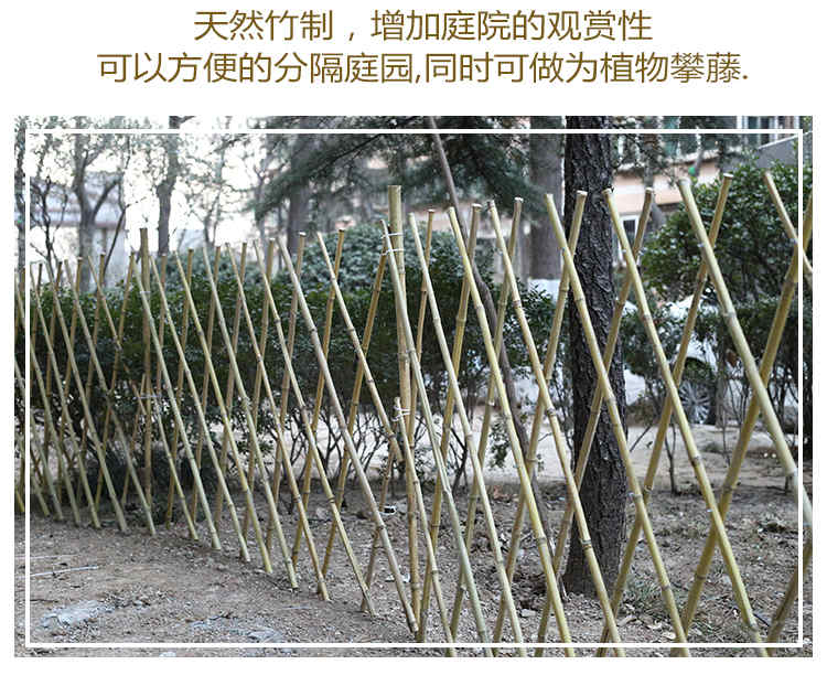 扬州宝应县菜园美丽乡村栅栏竹篱笆无锡锡山竹子护栏 竹片栅栏