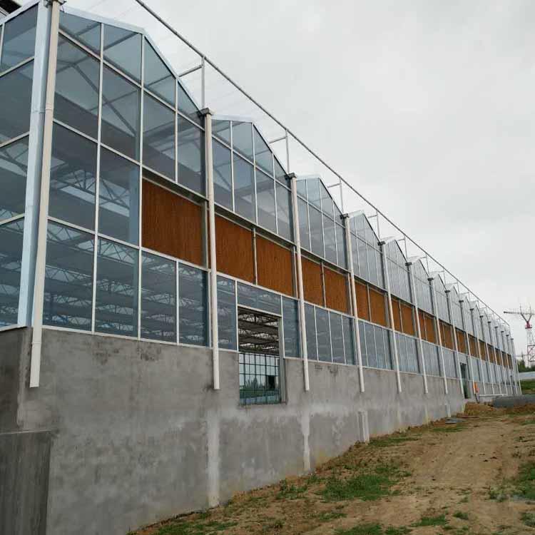 青州玻璃温室 青州农业大棚发源地 钢架大棚玻璃温室 青州玻璃温室制造厂商图片