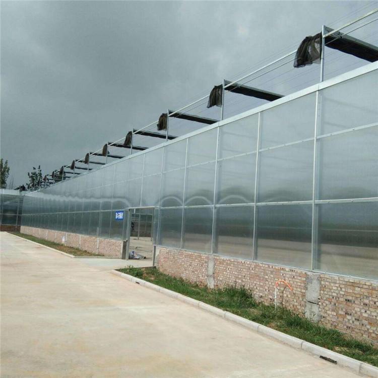 现货供应玻璃温室 现代农业玻璃温室 智能玻璃温室建设 可上门设计