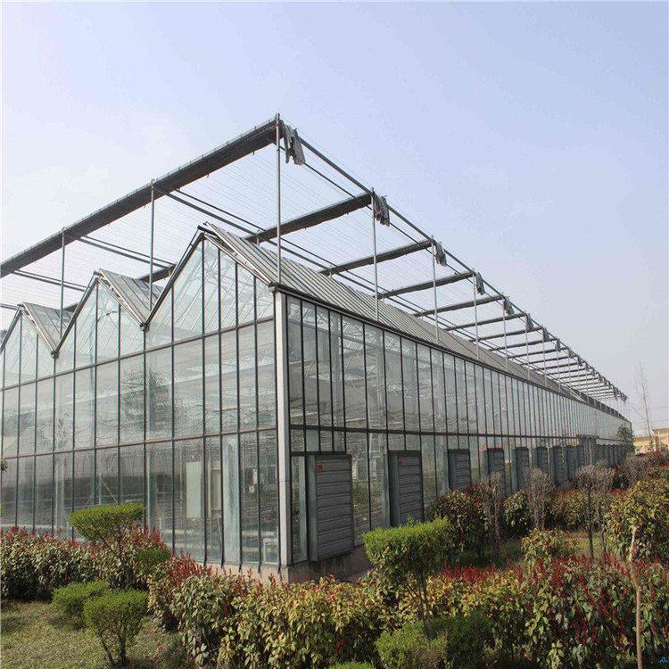 鑫泽智能玻璃温室价格 西安玻璃温室大棚价格 玻璃温室大棚结构图 坚固耐用